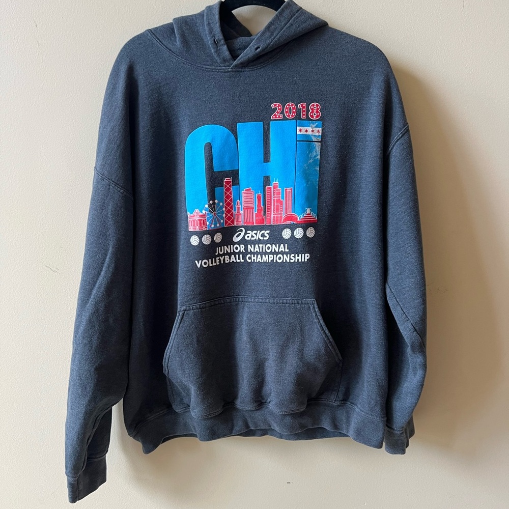 Asics Gray Hoodie with Blue and Red Graphic